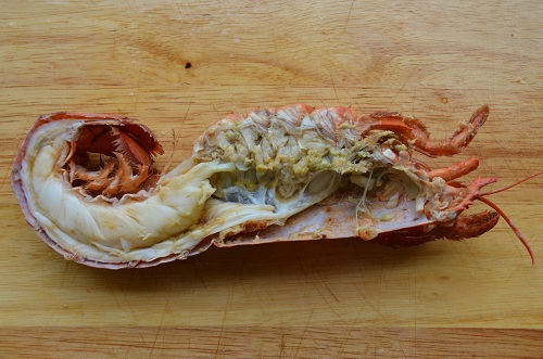 zelf kreeft koken zelf kreeft koken